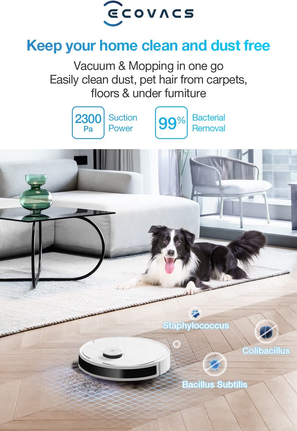 جاروبرقی رباتیک 2300 پاسکال 40 وات اکووکس مدل ECOVACS DLN26